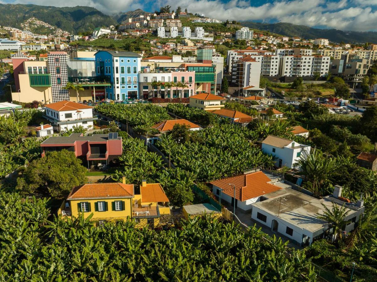 Casa D'Avo Celina Villa Funchal  Bagian luar foto