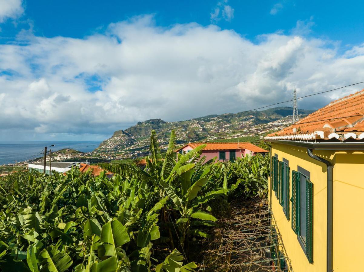 Casa D'Avo Celina Villa Funchal  Bagian luar foto